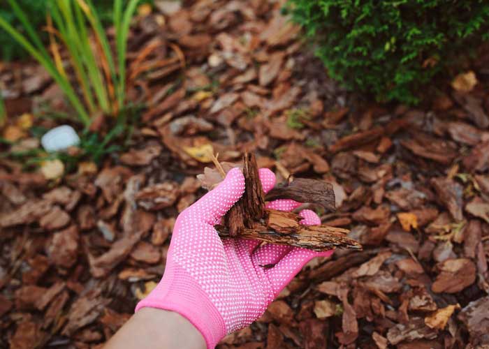 Benefits of Using Mulch on the Gold Coast