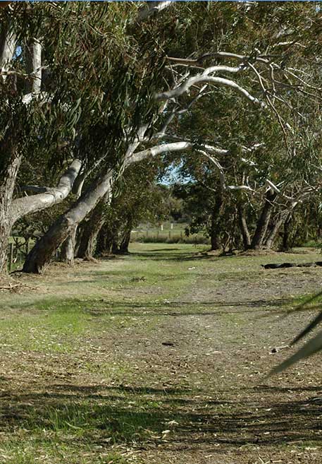 Gold Coast Land Clearing Services