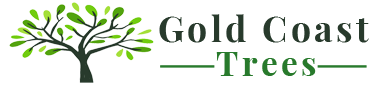 Gold Coast Tree Service